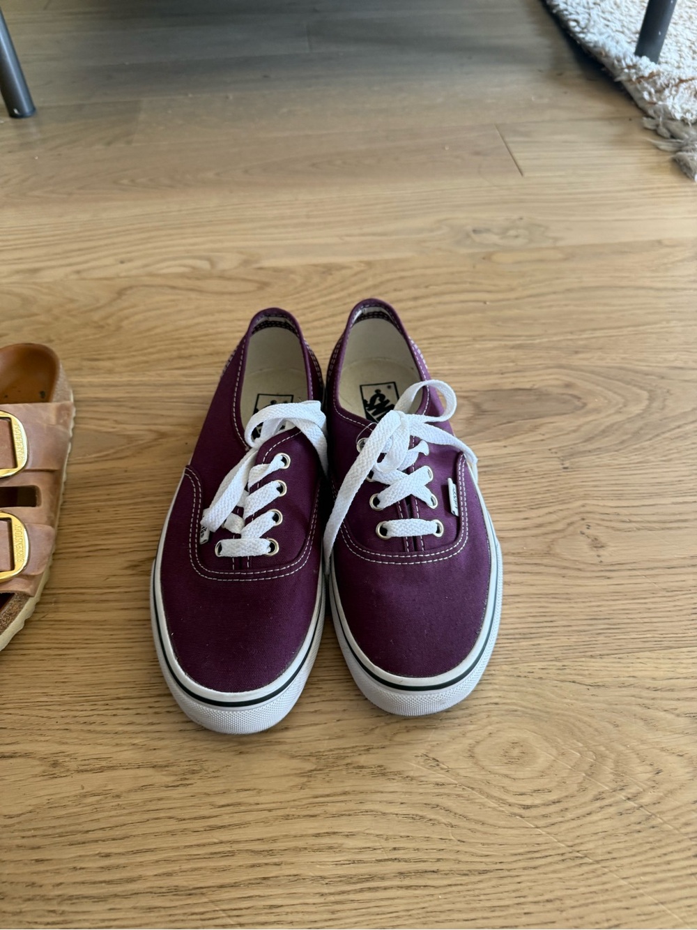 Vans Canvas Sneakers in Deep Plum with White Laces